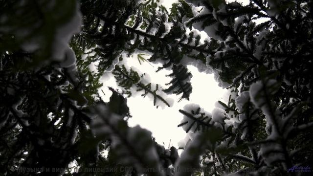 Сердце танцует, а разум отдыхает при этом клипе - You Cant Go Home -- selfpity -- Unhappy Thoughts