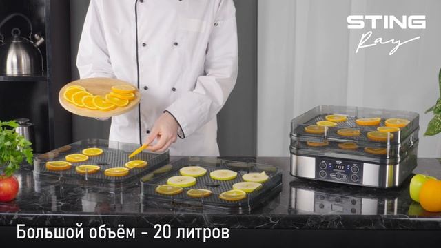 Электросушилка STINGRAY ST-FD700A