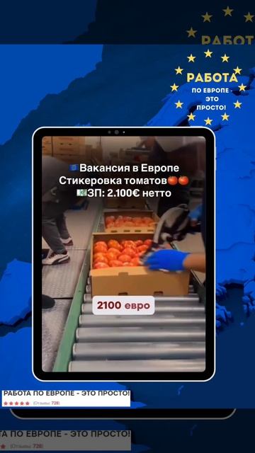 Работа для граждан СНГ от агентства Stratum Recruitment