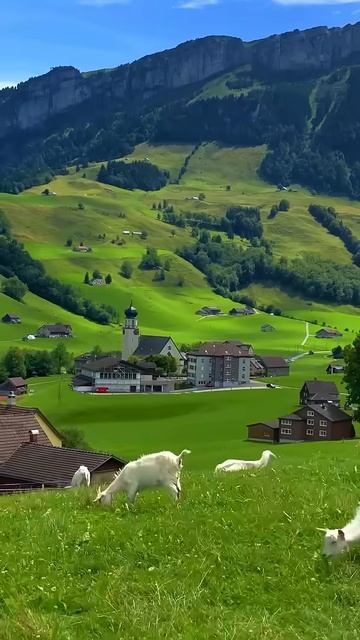 📍 Schwende, Switzerland 🇨🇭Follow for daily Swiss Content 🇨🇭