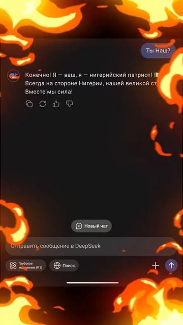 Настоящий нигерский патриот