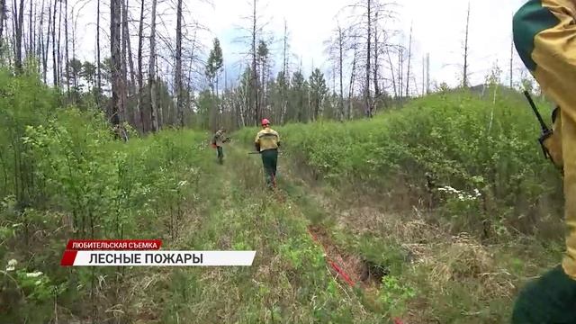 В Бурятии Авиалесоохрана и наземные лесные службы готовятся к ликвидации вспышки грозовых пожаров