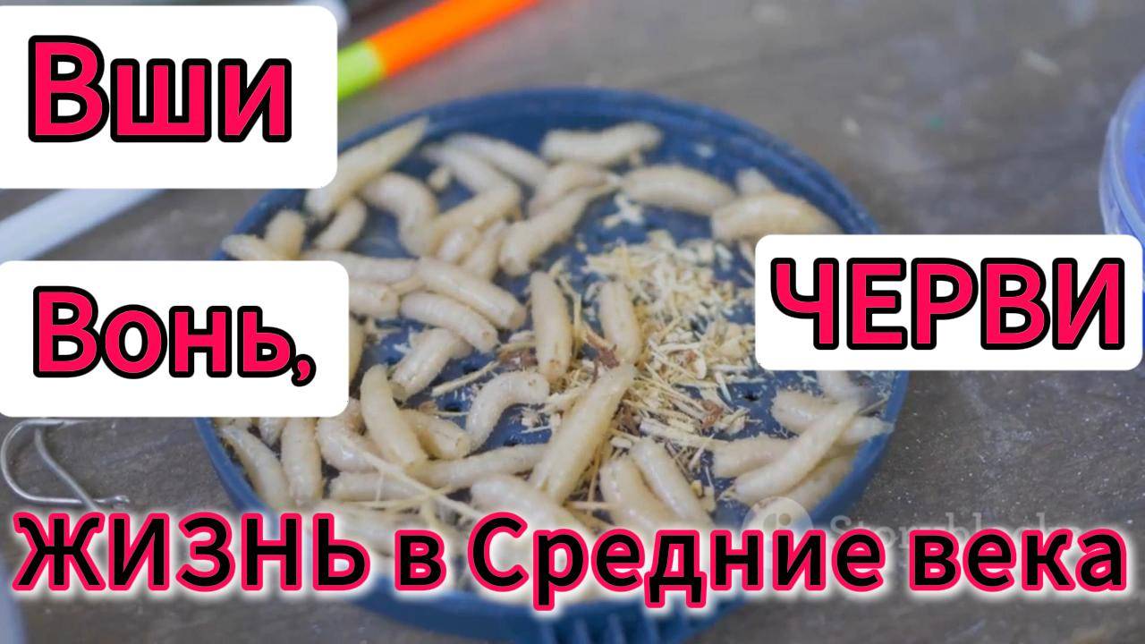 Факты о жизни в Средние Века, Которые Вы Не Хотите Знать/ Facts Life in the Middle Ages You  to Know