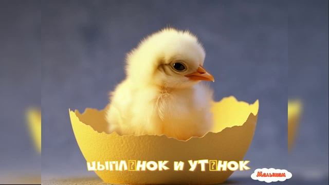 Сказка Цыплёнок и утёнок |Владимир Сутеев|АудиоСказка|народные|детские|рассказ|онлайн|мультфильм|