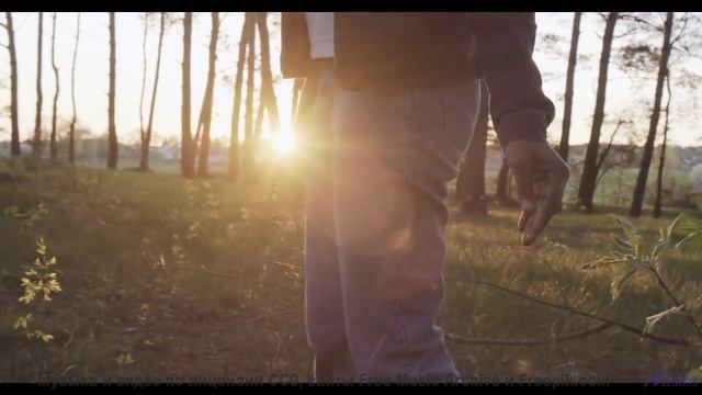 Остановитесь и услышьте это! - Treasure -- Ketsa -- Mini LP