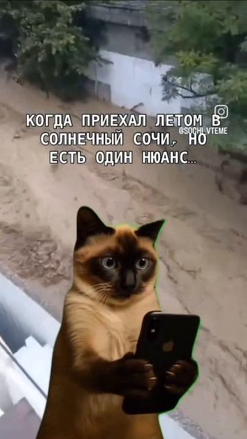 Когда приехал в Сочи в разгар лета