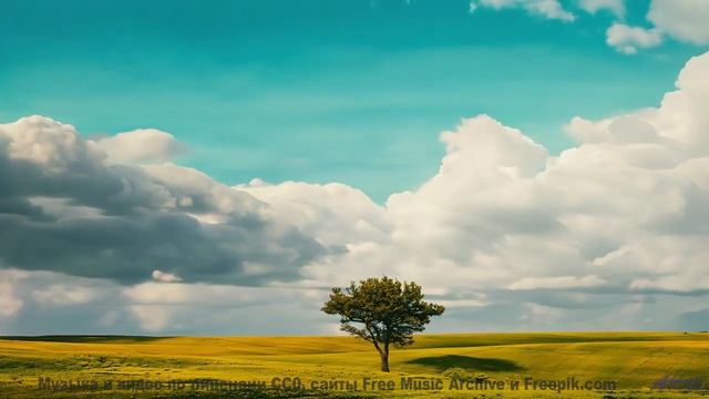 Музыка для квантовых компьютеров - услышьте будущее вычислений! - Corporate Presentation -- Scott Ho