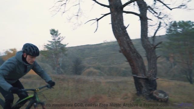 Вы не гуляли по лесу, пока не услышали этот саундтрек! - Wasted Too Long -- Jeremy Allingham -- Run