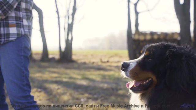 Эта музыка в сочетании с природой сведёт с ума - Since When -- Mise Darling -- Rebel