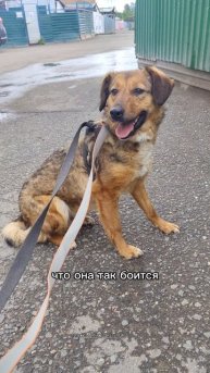 Первый раз всегда страшно