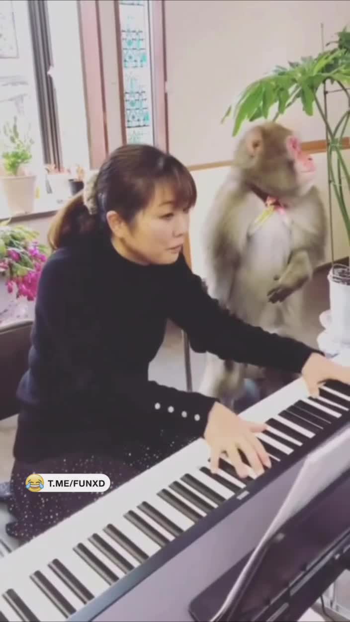 Отличный учитель😁