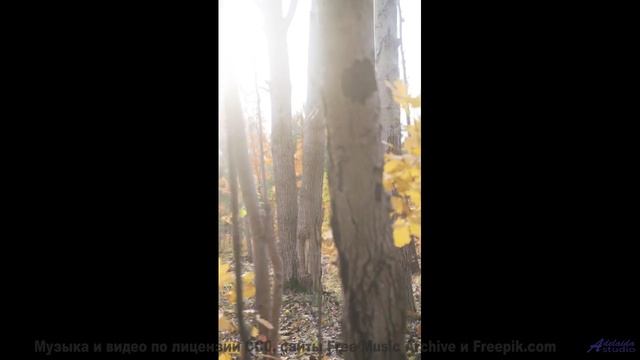 Эта песня - ваш секретный код для спонтанных путешествий - Smooth Day -- Ketsa -- Metaphysics