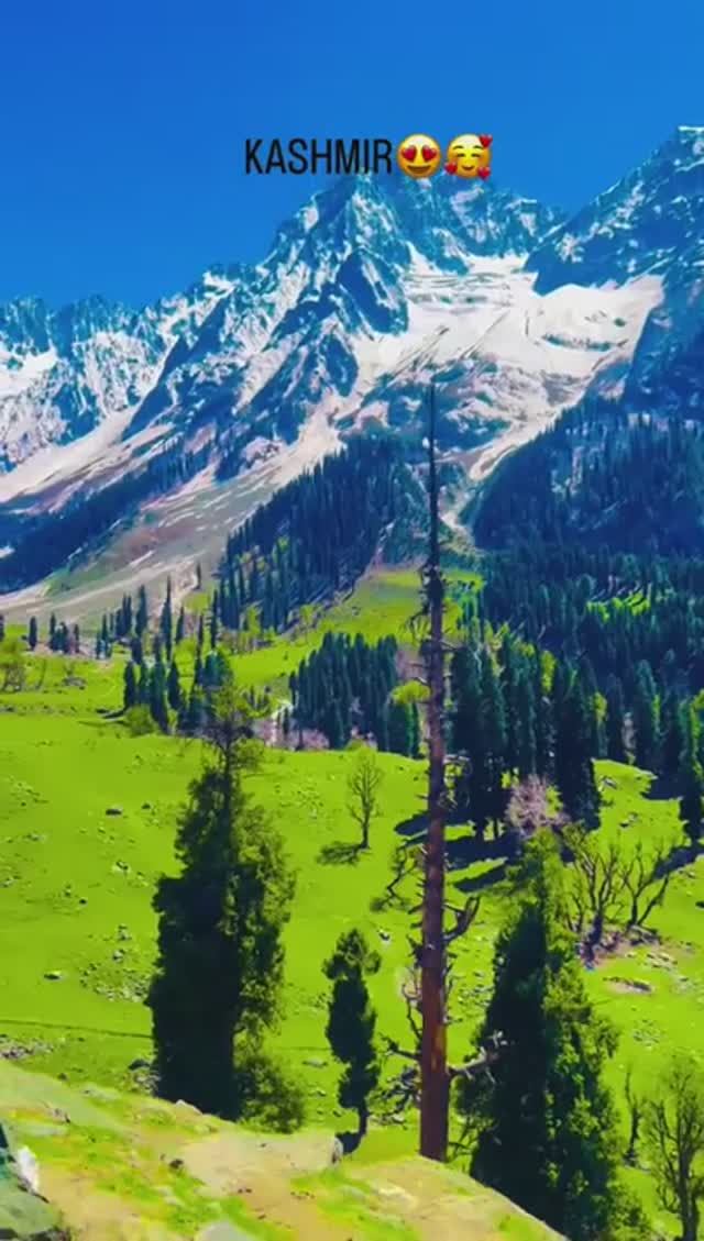 Kashmir ☘️❄️🍂📍 #switzerland #viralshorts #viralvideo