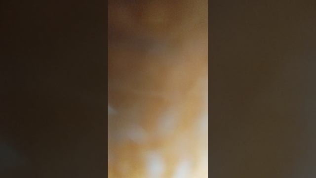 VID_20250617_155814.mp4