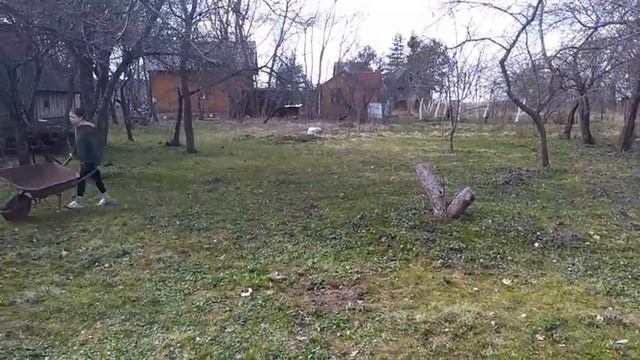 Мой спортивный карантин