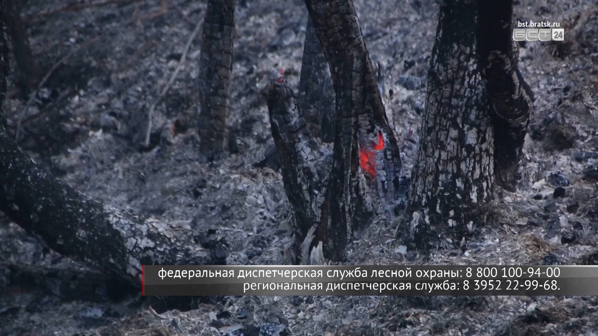 Доступ в леса Иркутской области ограничат из-за пожаров