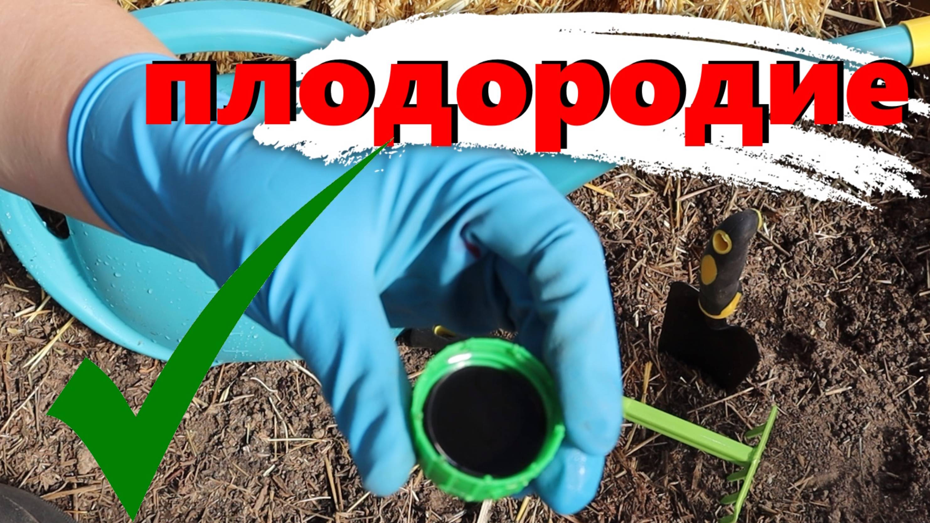 Добавляю 1 колпачок на ведро - и земля оживает! Это средство есть в каждом доме