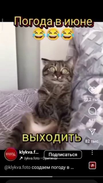 VID_20250619_191329_796.mp4
