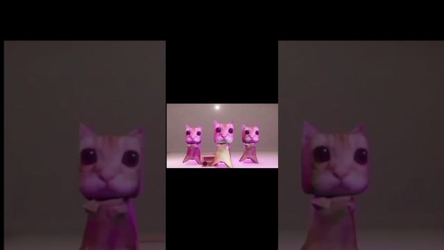 коты танцуют под sugar crush