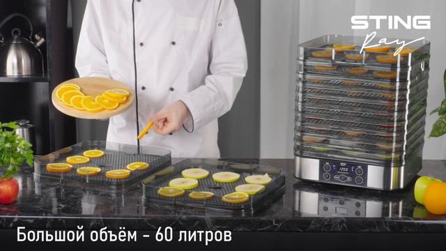 Электросушилка STINGRAY ST-FD702B