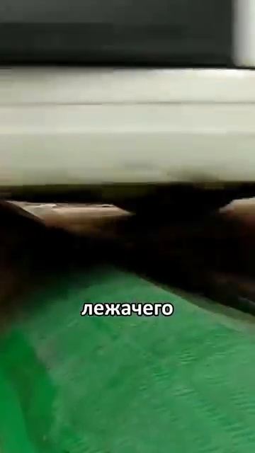 Лежачий полицейский с неньютоновской жидкостью амитеш химия дороги