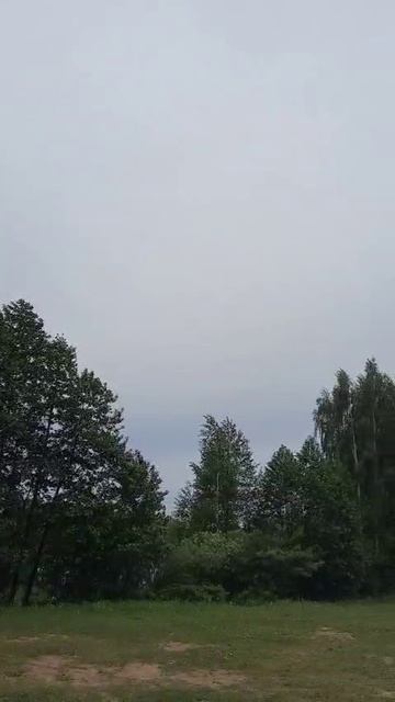 Красота вокруг в лесу на природе в Клязьминской пойме