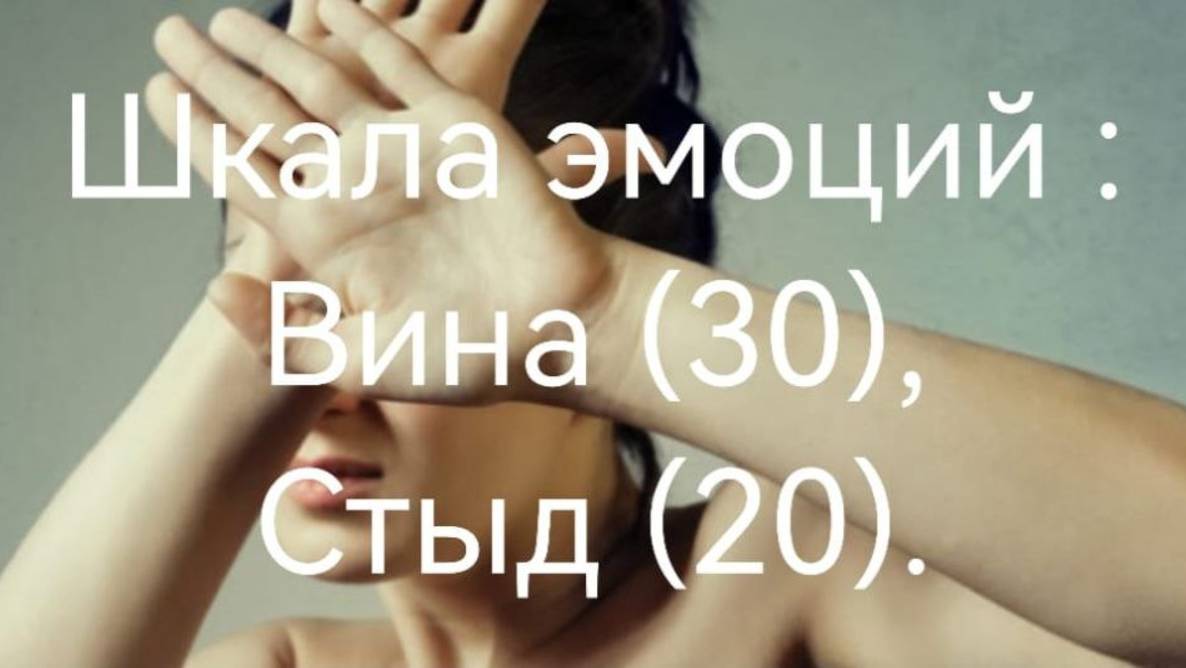 Шкала эмоций: Вина и Стыд.mp4