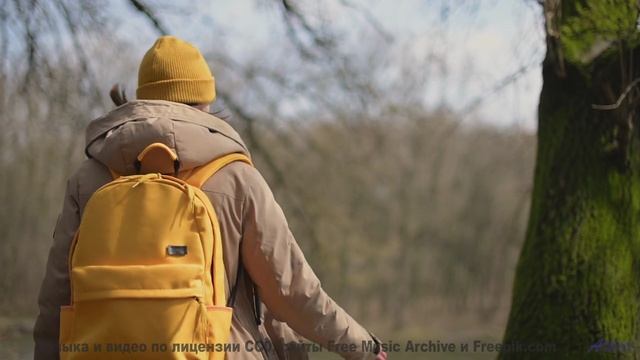 Леса звучат как песня, которую ждали всю жизнь - 20 Minute Meditation 12 -- HoliznaCC0 -- Space - Sl