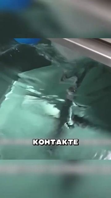 1000007633.mp4