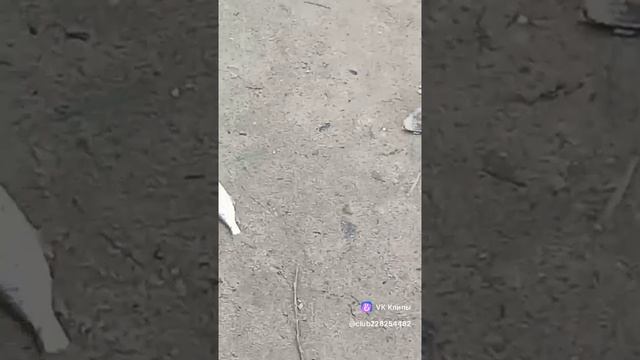 Рыбалка на Иртыше.