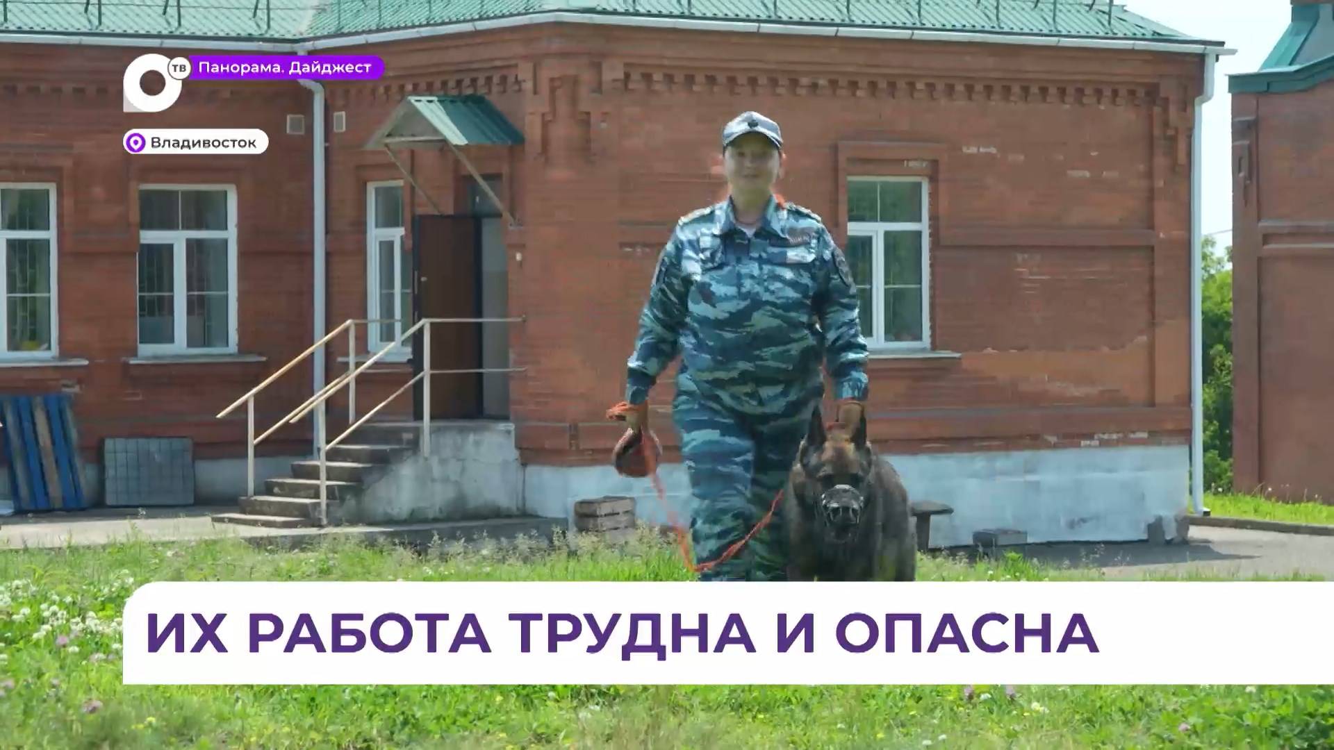 Кинологическая служба Приморья отметит 21 июня свой профессиональный праздник