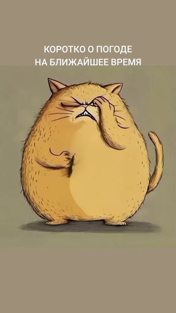 Котик сам в шоке
