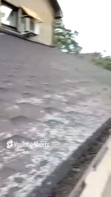 Скопление мусора в желобе водосточной системы