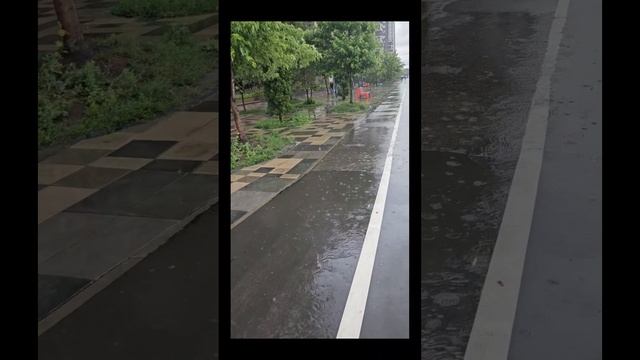 утренний влог