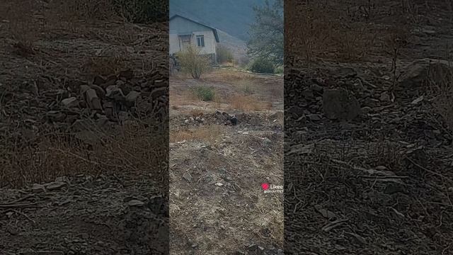 1000057848.mp4