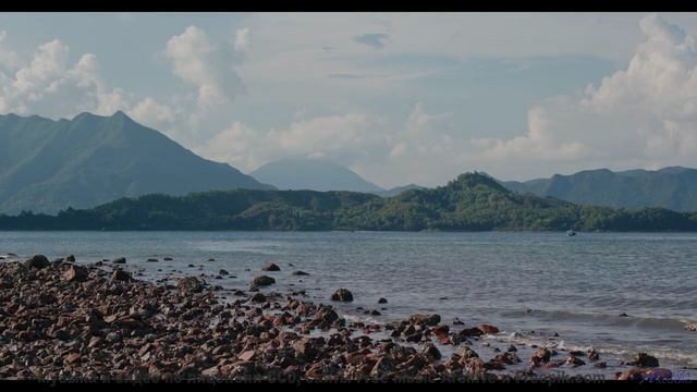 Леса звучат как музыка сердца вместе с этим треком - Waiting On A Train -- HoliznaCC0 -- Orphaned Me