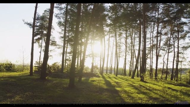 Музыка растворяет границы между зрителем и Землёй - Guesses -- Ketsa -- Collective Consciousness