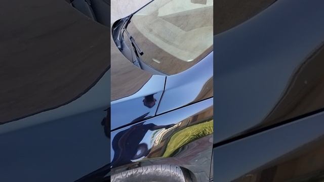 1000130086.mp4