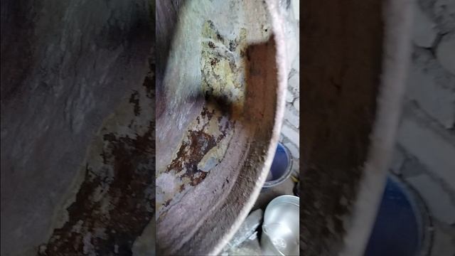 1000003210.mp4