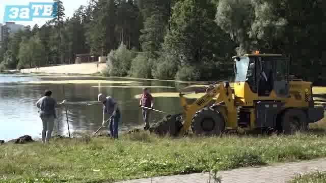 Новости Заречного от 19.06.25