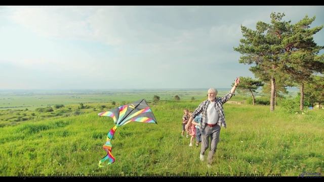 Саунд заставляет почувствовать природу кожей - 1-800-Podbear -- Podington Bear -- Said Lion To Lamb