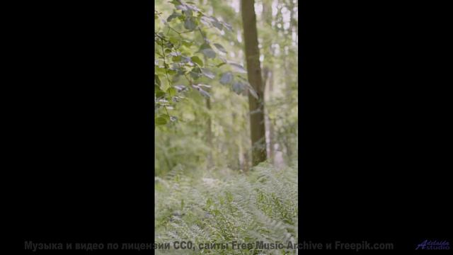 Эта музыка звучит как обещание новых приключений вдвоём - Follow Your Heart -- Tadz -- My Way, All D