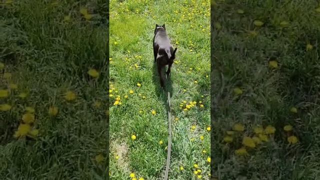 А жизнь быстро убегает с вечность...