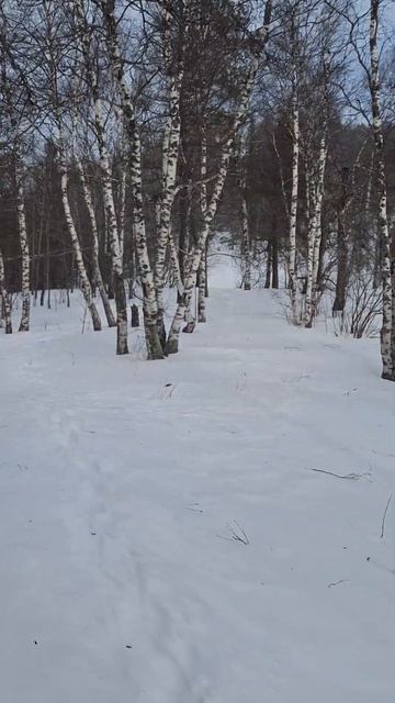 Горы южного Урала. #блогожизни #travel #влог