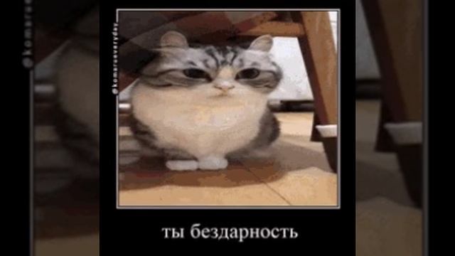тот самыи́ кот