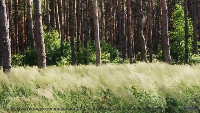 Эта мелодия написана вашим будущим я - парадокс времени! - Camelot -- Eyelids -- Live at Monty Hall,