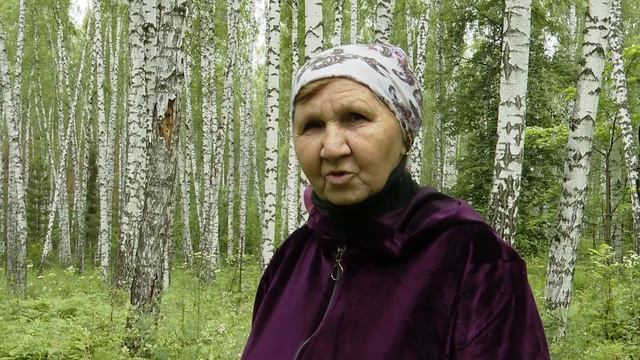 Зәйлеләр каен җиләге җыя