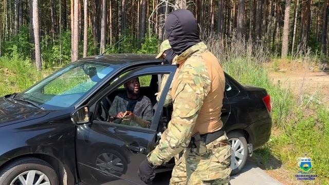 Полиция выявила 22 мигранта-нелегала, занимавшихся благоустройством могил на кладбище в Тюмени