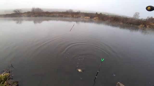 Поймал, Порадовался, Отпустил. Рыбалка На Поплавок Поздней Осенью.