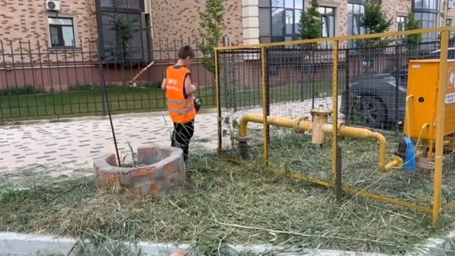 Не по рублям, а по совести: урок от мальчика с метлой
